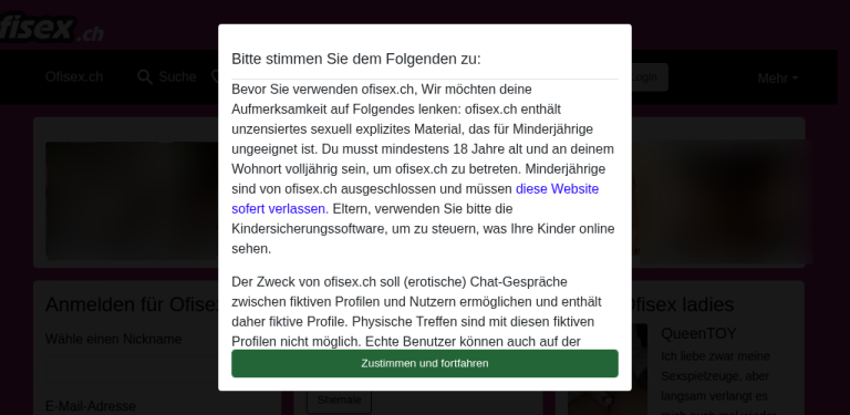 ofisex.ch Erfahrungen Testbericht